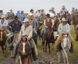Great Florida Cattle Drive Cowboys