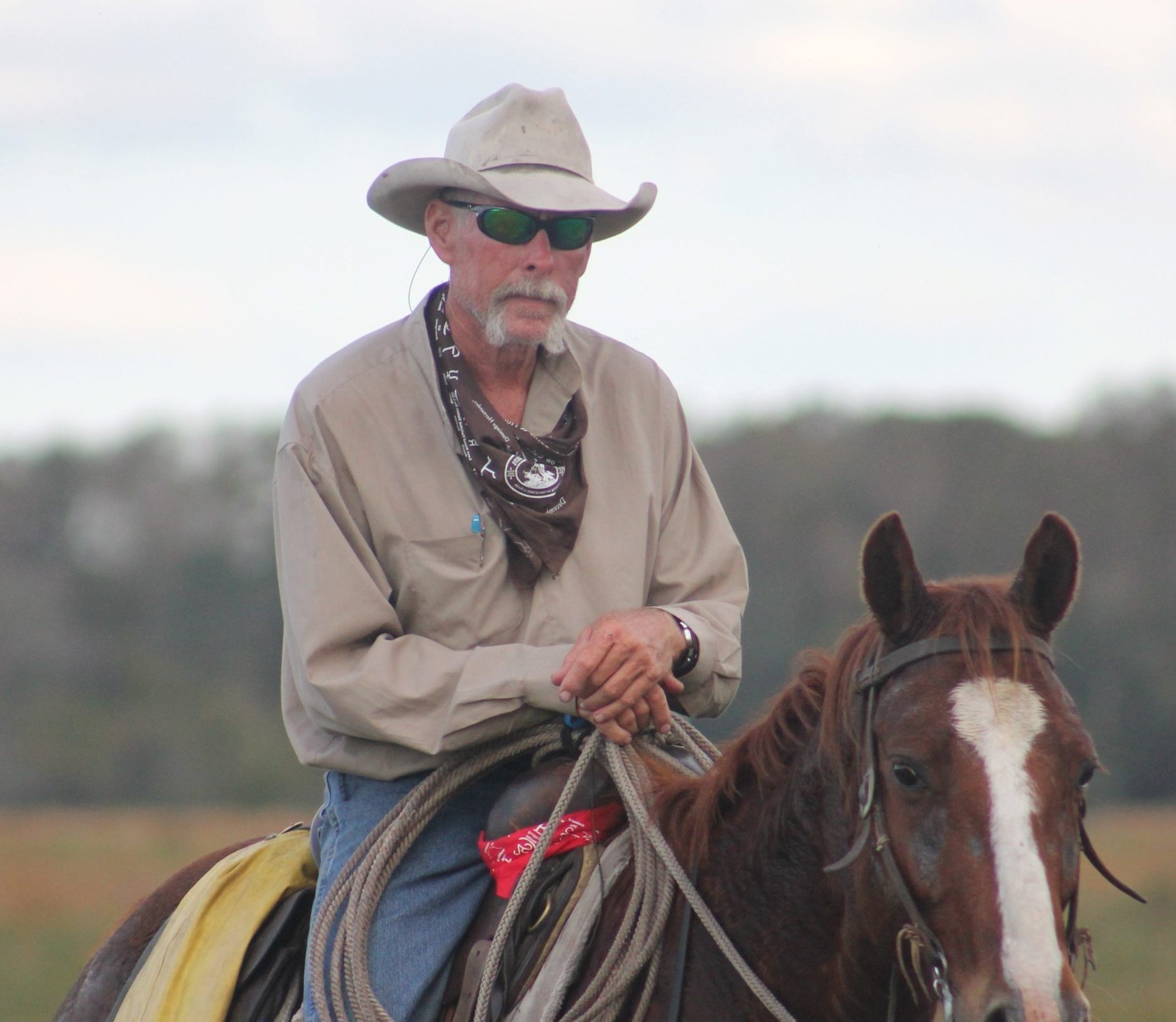 The Great Florida Cattle Drive 2026 Registration